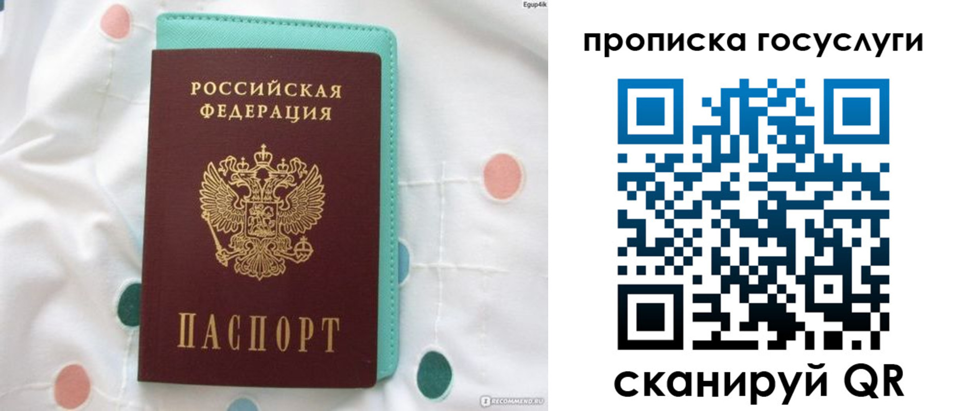 прописка поиск в Малоярославце